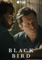 Чёрная птица (2022) смотреть онлайн бесплатно