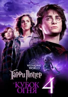 Гарри Поттер и Кубок огня (2005) смотреть онлайн бесплатно
